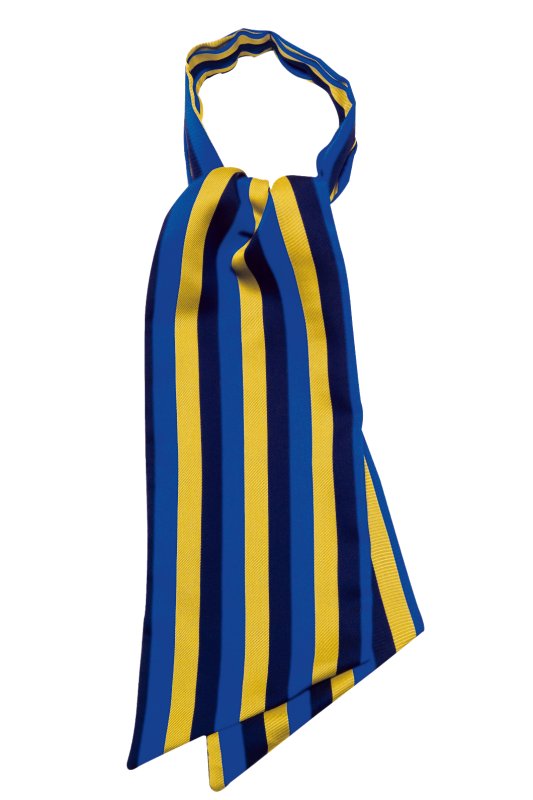 regimental blu cina